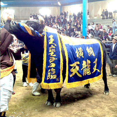 ガウン3点セット